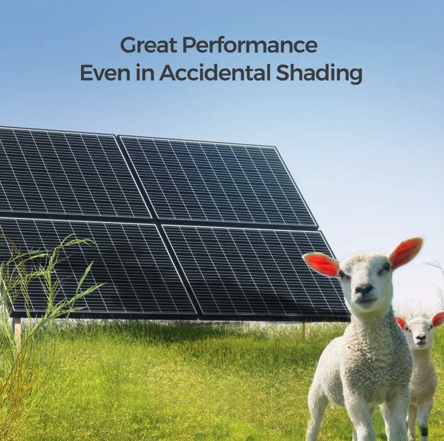 Renogy 320W N-Type Monocrystalline Solar Panel (4-Pack)